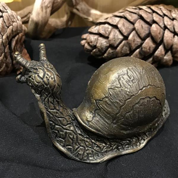 Bronze Snail