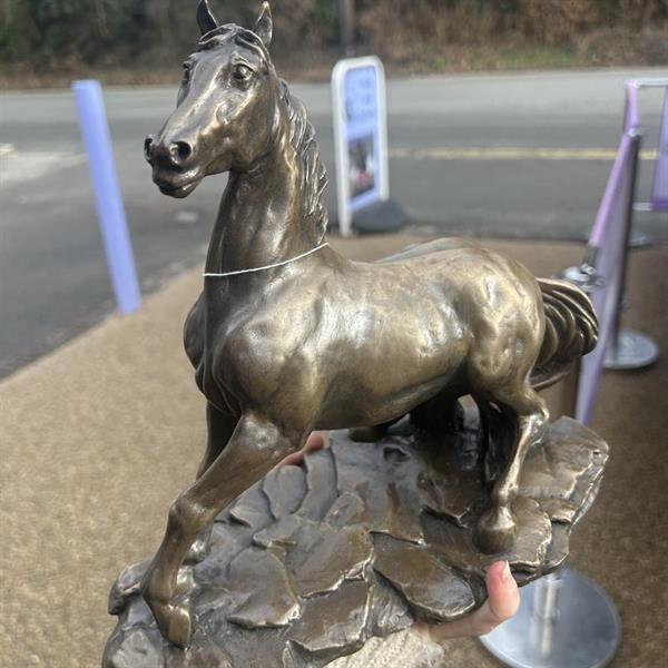 Bronze Horse