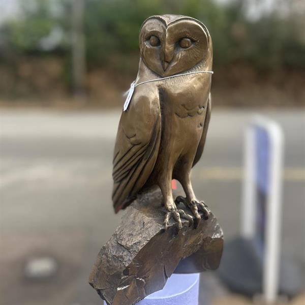 Bronze Owl