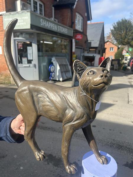 Bronze large cat