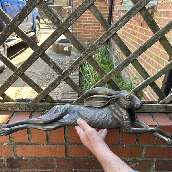 Large Bronze hare