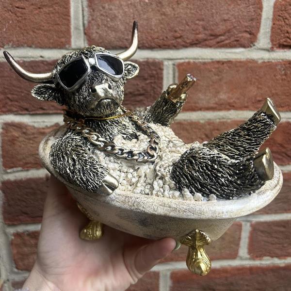 Highland Bull in the Bath