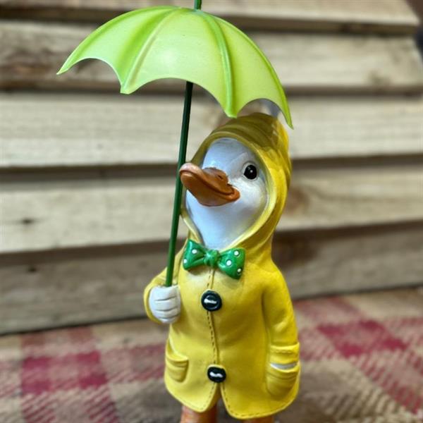 Brolly Duck