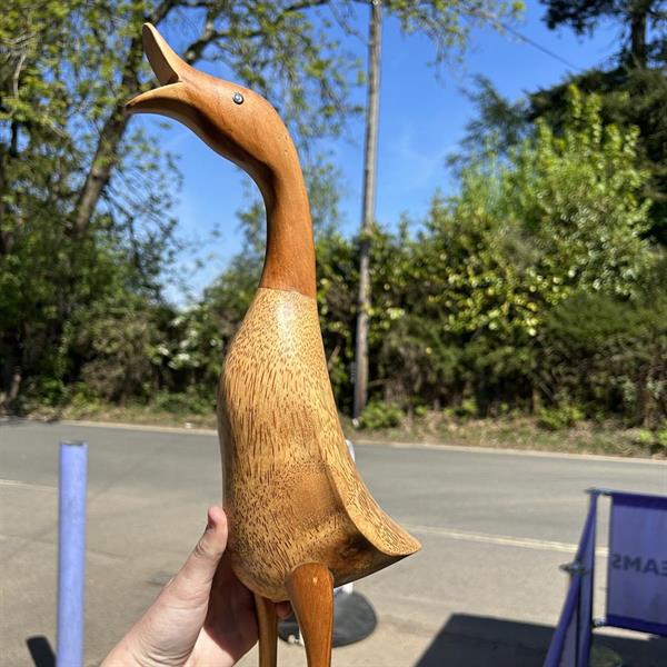 Large Duck