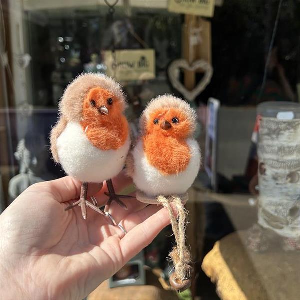 Small Fluffy Robins
