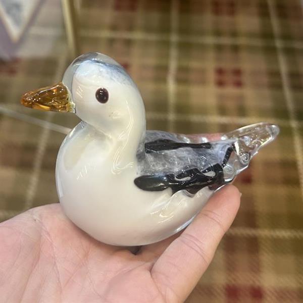 Glass gull