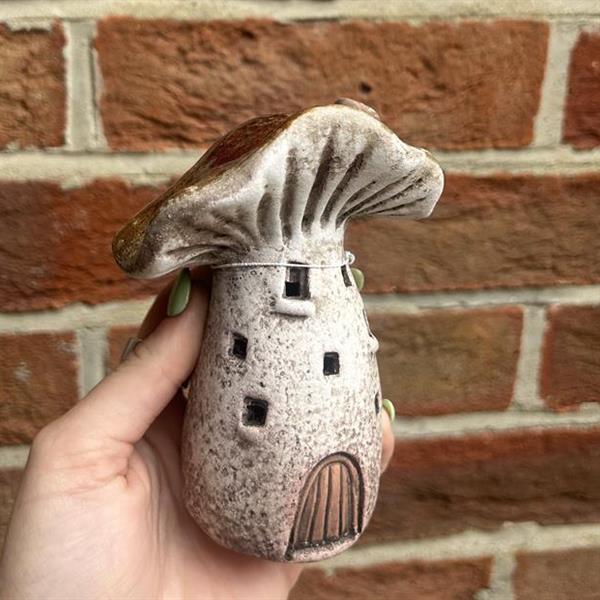 Small Mushroom House