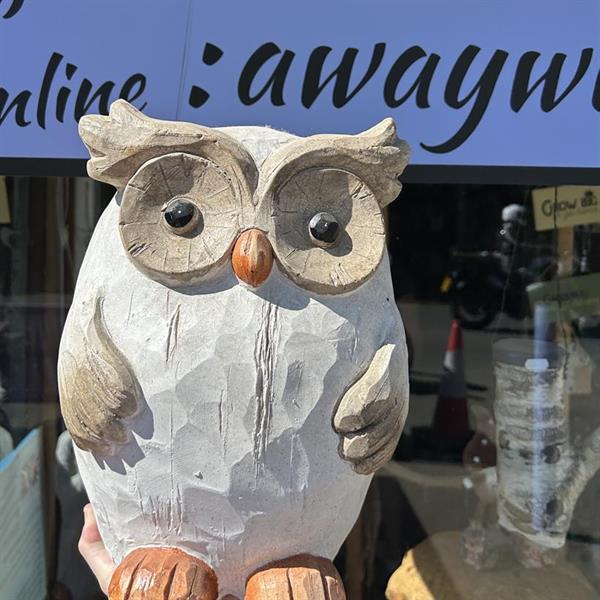 Large Owl