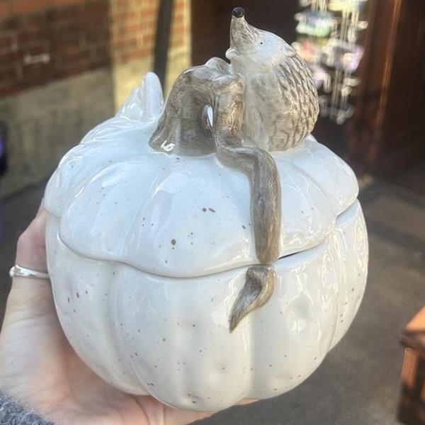 Hedgehog Pumpkin Pot