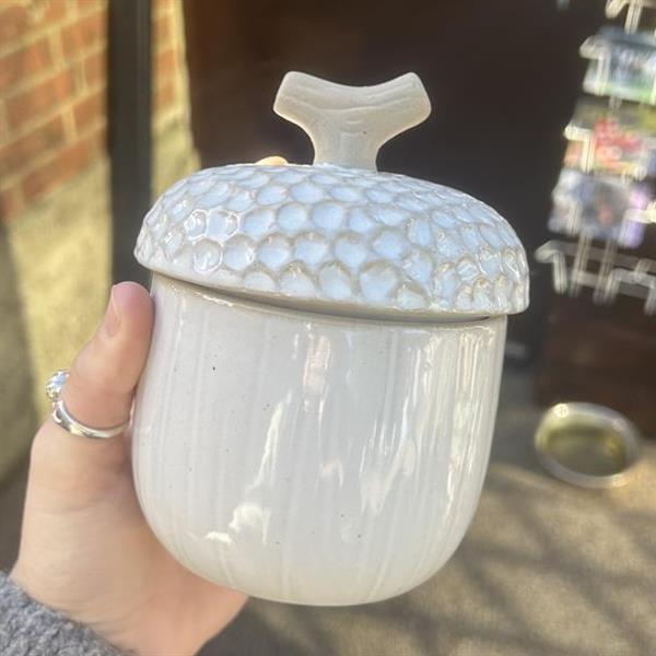 Acorn Pottery Pot
