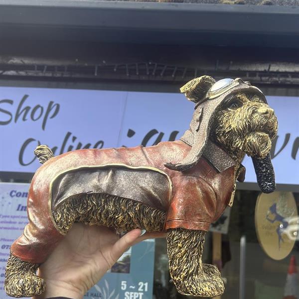 Ralph the Biker Dog