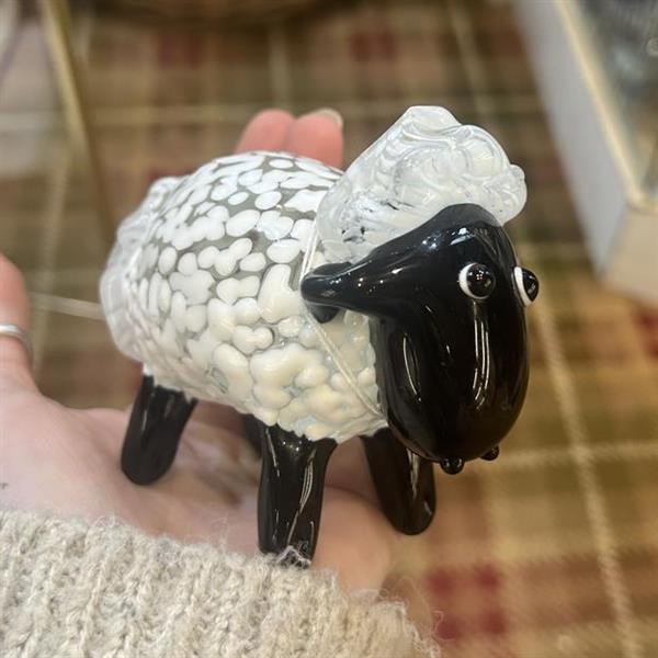 Glass Sheep