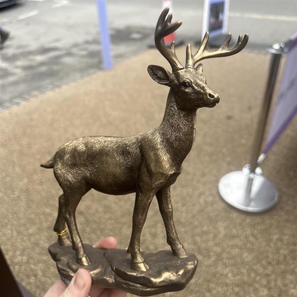 Golden Stag