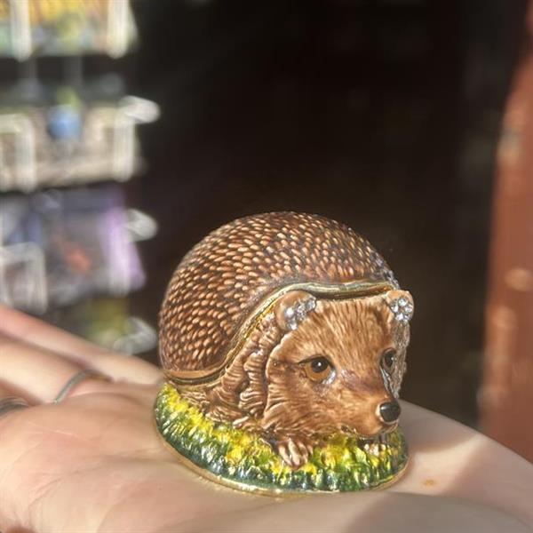 Hedgehog Trinket Box