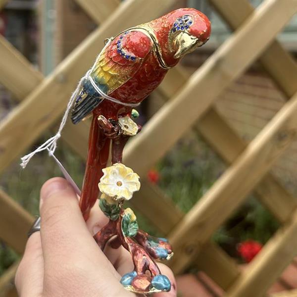 Parrot Trinket Box