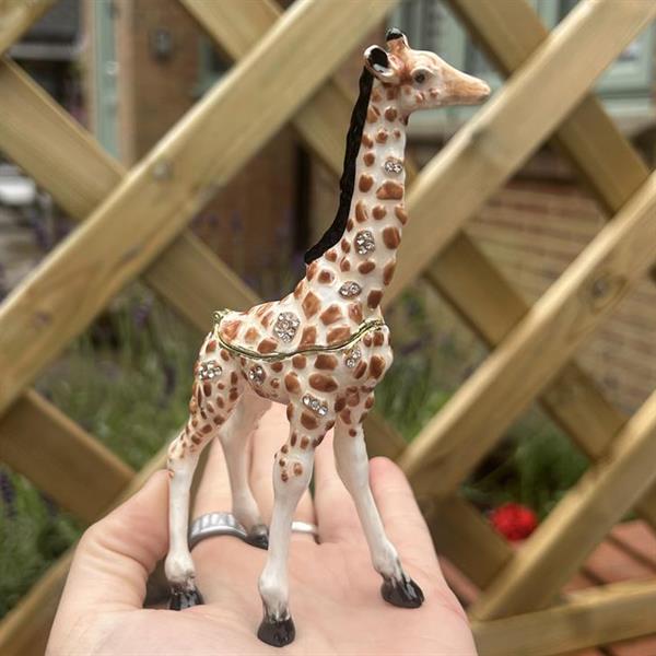 Giraffe Trinket Box