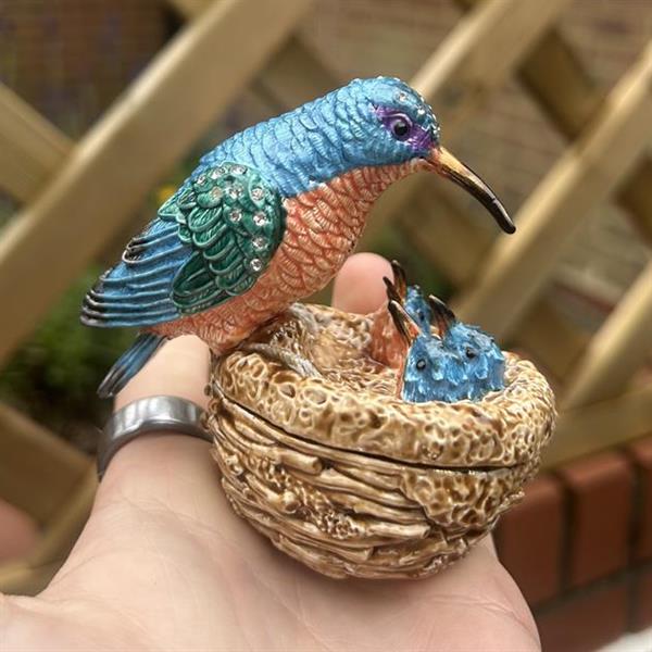 Kingfisher Nest Trinket Box