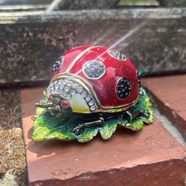 Ladybird Trinket Box