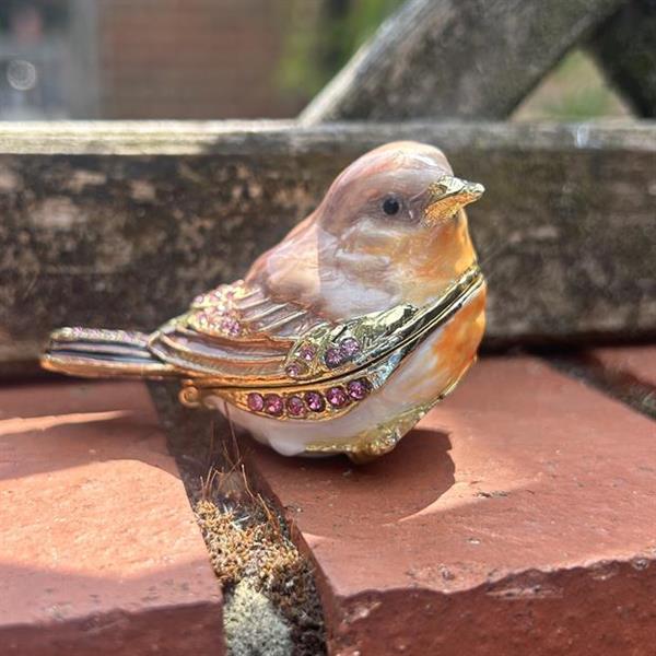 Small Robin Trinket Box